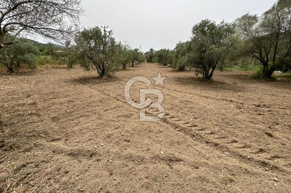 LAND FOR SALE IN SEFERİHİSAR KAVAKDERE LOCATION