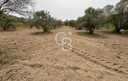 LAND FOR SALE IN SEFERİHİSAR KAVAKDERE LOCATION