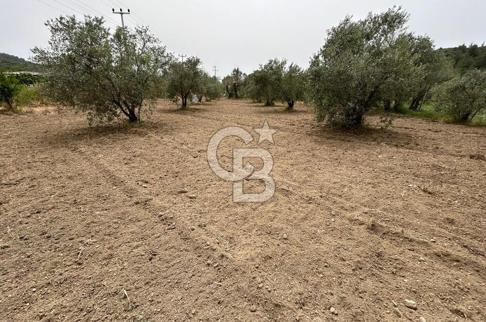 LAND FOR SALE IN SEFERİHİSAR KAVAKDERE LOCATION