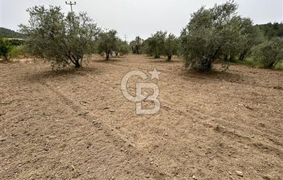 LAND FOR SALE IN SEFERİHİSAR KAVAKDERE LOCATION