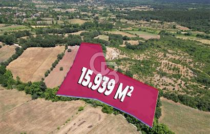 Çanakkale Yenice Yukarıçavuş Köyünde 15939 M² Satılık Tarla !