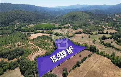 Çanakkale Yenice Yukarıçavuş Köyünde 15939 M² Satılık Tarla !