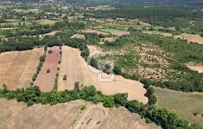 Çanakkale Yenice Yukarıçavuş Köyünde 15939 M² Satılık Tarla !