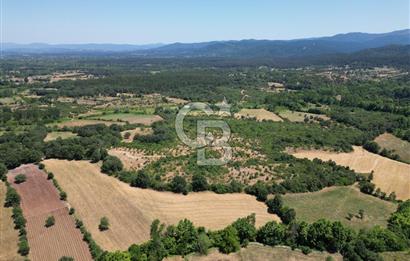 Çanakkale Yenice Yukarıçavuş Köyünde 15939 M² Satılık Tarla !