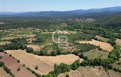 Çanakkale Yenice Yukarıçavuş Köyünde 15939 M² Satılık Tarla !