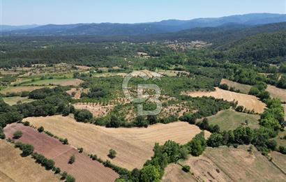 Çanakkale Yenice Yukarıçavuş Köyünde 15939 M² Satılık Tarla !