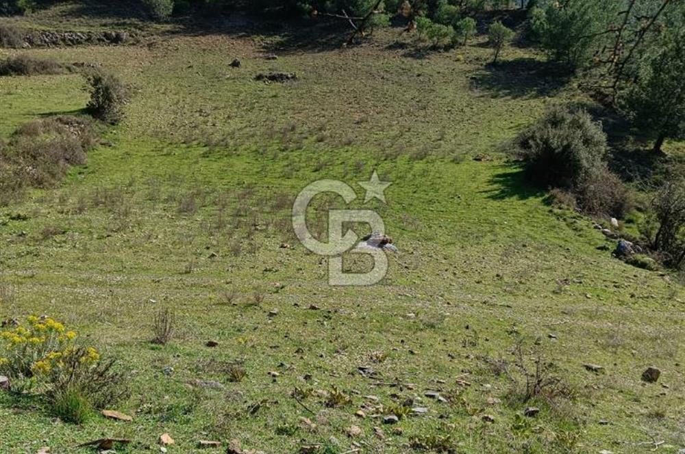 Muğla Menteşe Çatakbağyaka Satılık Tarla