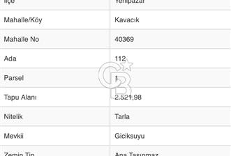 BİLECİK YENİPAZAR satılık fırsat tarla