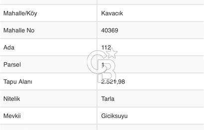 BİLECİK YENİPAZAR satılık fırsat tarla