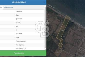 ÇANAKKALE BİGA ÇEŞMEALTI DENİZE SIFIR EMSALSİZ SATILIK ARAZİ