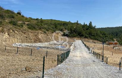 ÇATALCA'DA MİRASTAN BÖLME 300 m² TARLA