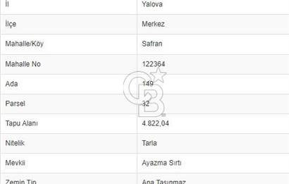 YALOVA SAFRAN SATILIK TARLA!. 4822 M2