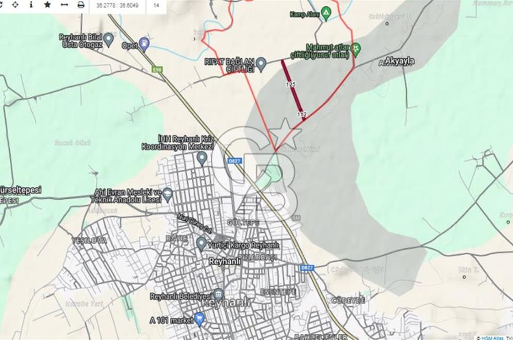 HATAY REYHANLI'DA 23.330 M2 YOLA CEPHE TARLA