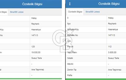 HATAY REYHANLI'DA 23.330 M2 YOLA CEPHE TARLA