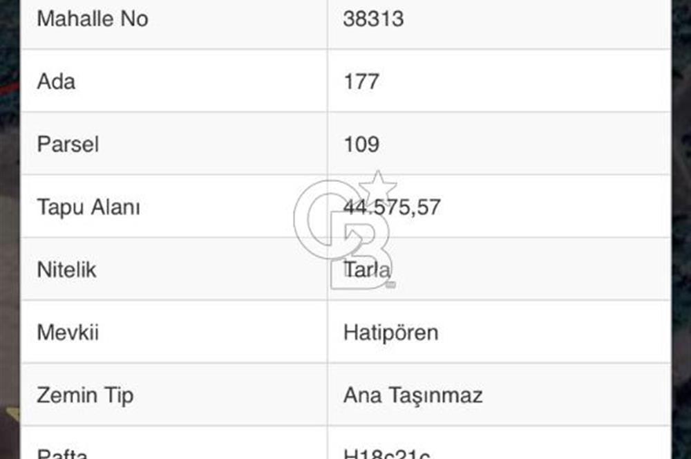 ÇANAKKALE KAZ DAĞLARI ETEĞİNDE 44.575 M2 LAVANTA BAHÇESİ 