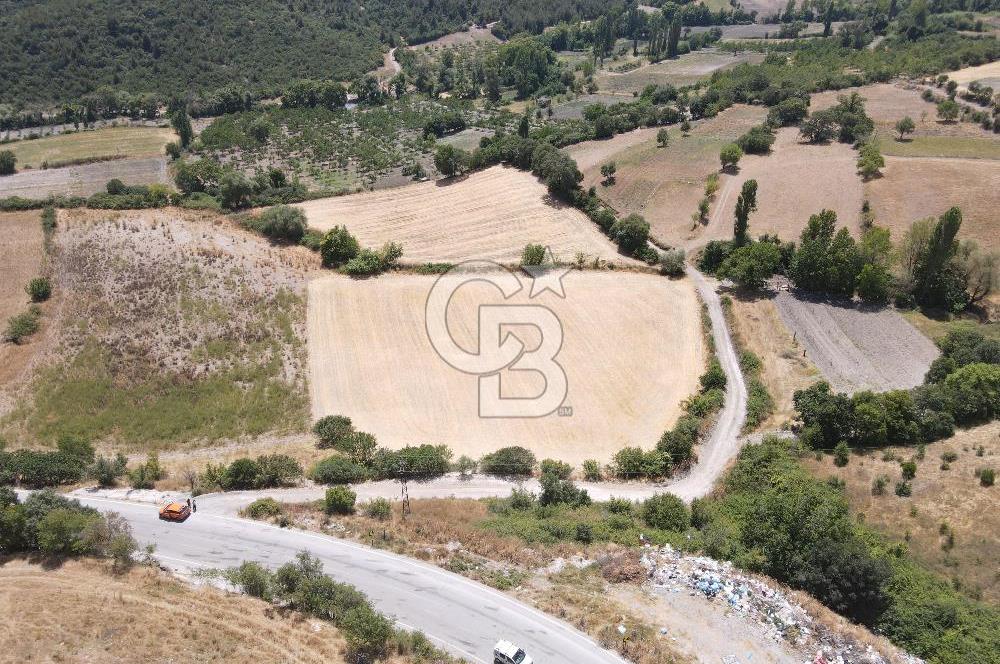 BALIKESİR ALTIEYLÜL TÜRKALİ MH'DE 15.704M² SATILIK TARLA