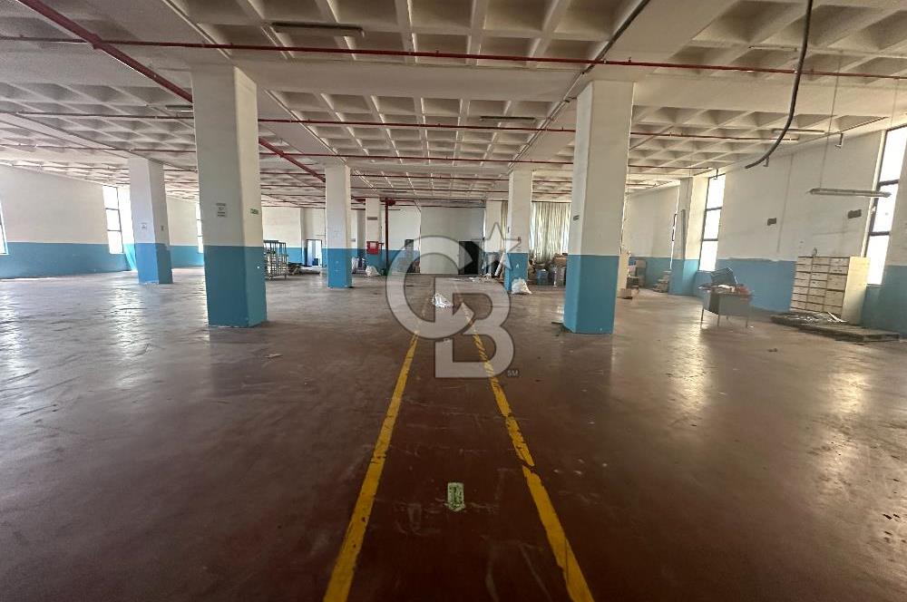 Beylikdüzü OSB Kiralık 2.650m2 Fabrika Depo, Calaskarlı