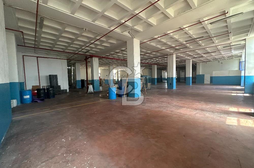 Beylikdüzü OSB Kiralık 2.650m2 Fabrika Depo, Calaskarlı