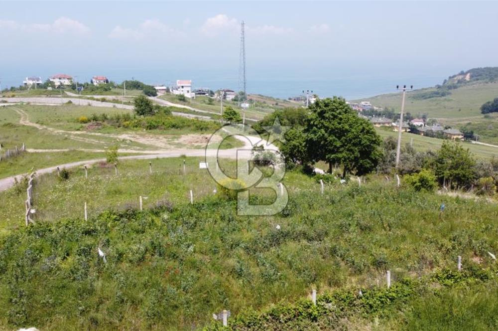 YALOVA AKKÖY ŞAHİN TEPESİ SATILIK ARSA!. 419 M2