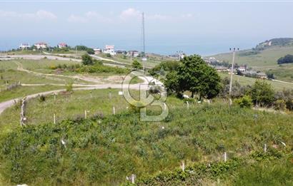 YALOVA AKKÖY ŞAHİN TEPESİ SATILIK ARSA!. 419 M2