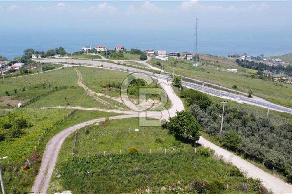 YALOVA AKKÖY ŞAHİN TEPESİ SATILIK ARSA!. 419 M2