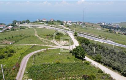 YALOVA AKKÖY ŞAHİN TEPESİ SATILIK ARSA!. 419 M2