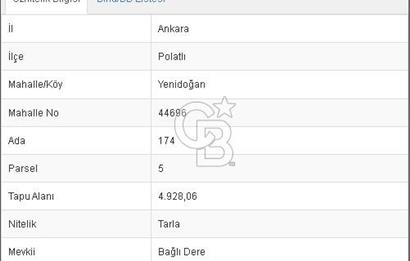 POLATLI YENİDOĞAN MAHALLESİ ANAYOLA 2. PARSEL SATILIK TARLA