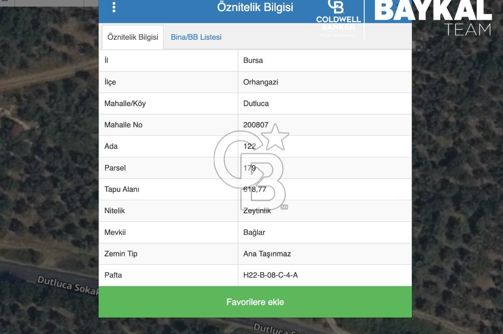 Bursa Orhangazi Dutlucada Göl Manzaralı 618 m2 Zeytinlik