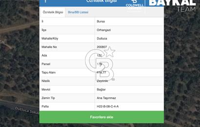 Bursa Orhangazi Dutlucada Göl Manzaralı 618 m2 Zeytinlik
