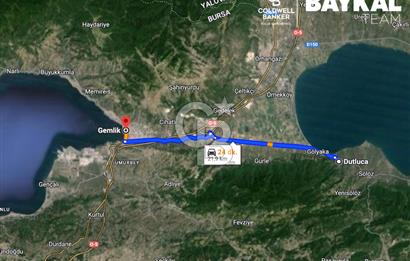 Bursa Orhangazi Dutlucada Göl Manzaralı 618 m2 Zeytinlik