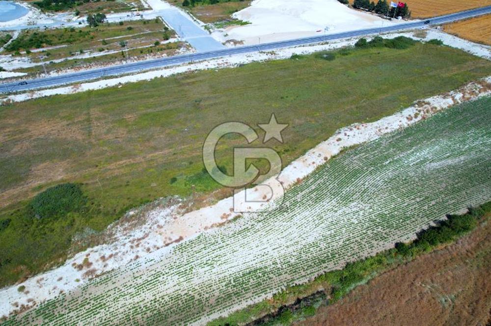 Kuzey Marmara Özel Endüstri Bölgesi- Sanayi Arsası 10.000 m2