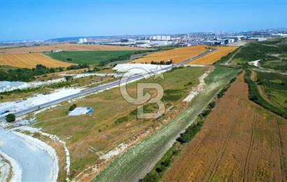 Kuzey Marmara Özel Endüstri Bölgesi- Sanayi Arsası 10.000 m2