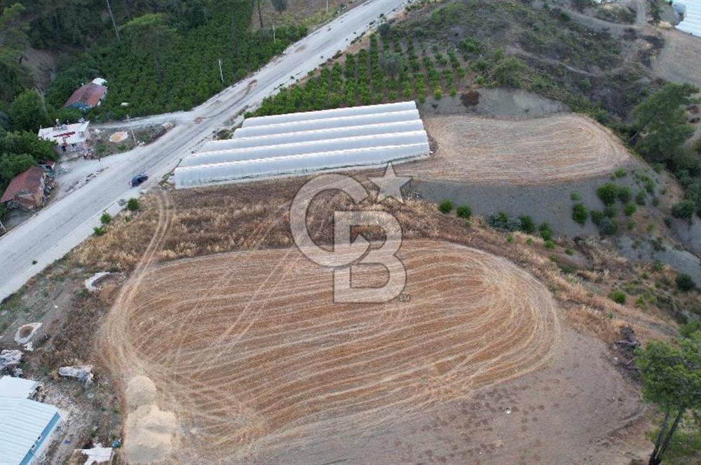 ANTALYA KAŞ ÇEŞME ANA YOL ÜZERİ SATILIK TARLA