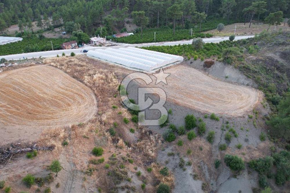 ANTALYA KAŞ ÇEŞME ANA YOL ÜZERİ SATILIK TARLA