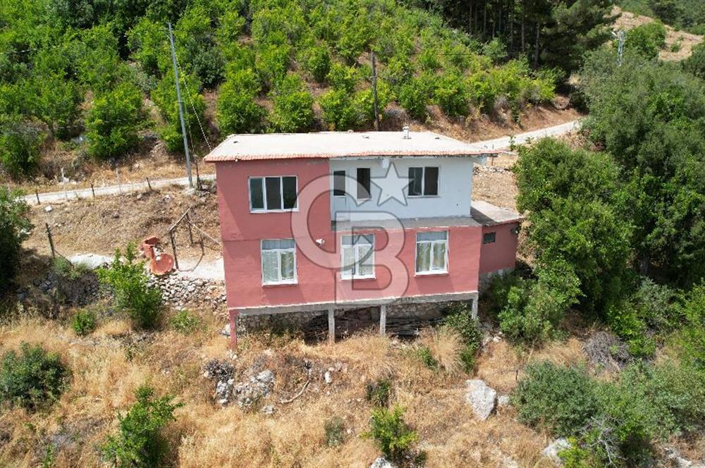 ANTALYA KAŞ SATILIK 3 AYRI MÜSTAKİL TAPU - EV, BAĞ VE TARLA