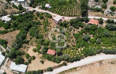 ANTALYA KAŞ SATILIK 3 AYRI MÜSTAKİL TAPU - EV, BAĞ VE TARLA