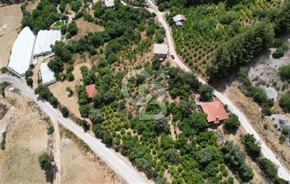 ANTALYA KAŞ SATILIK 3 AYRI MÜSTAKİL TAPU - EV, BAĞ VE TARLA