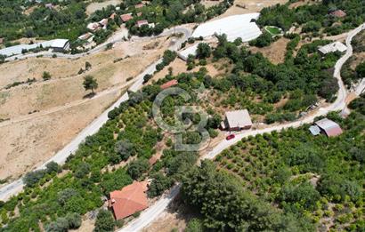 ANTALYA KAŞ SATILIK 3 AYRI MÜSTAKİL TAPU - EV, BAĞ VE TARLA