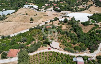 ANTALYA KAŞ SATILIK 3 AYRI MÜSTAKİL TAPU - EV, BAĞ VE TARLA