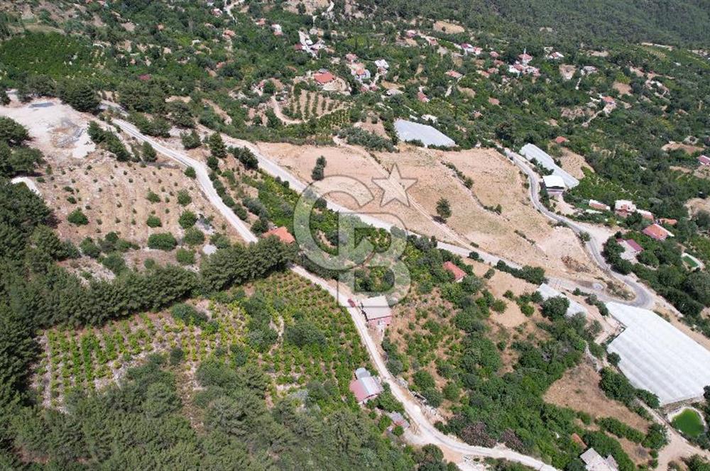 ANTALYA KAŞ SATILIK 3 AYRI MÜSTAKİL TAPU - EV, BAĞ VE TARLA