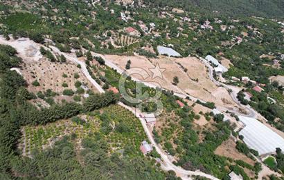 ANTALYA KAŞ SATILIK 3 AYRI MÜSTAKİL TAPU - EV, BAĞ VE TARLA