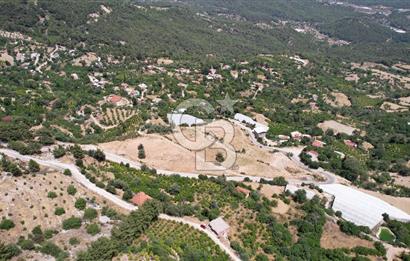 ANTALYA KAŞ SATILIK 3 AYRI MÜSTAKİL TAPU - EV, BAĞ VE TARLA