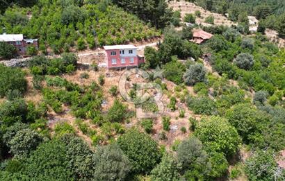 ANTALYA KAŞ SATILIK 3 AYRI MÜSTAKİL TAPU - EV, BAĞ VE TARLA