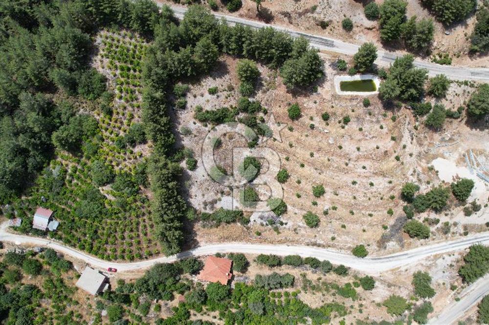 ANTALYA KAŞ SATILIK 3 AYRI MÜSTAKİL TAPU - EV, BAĞ VE TARLA