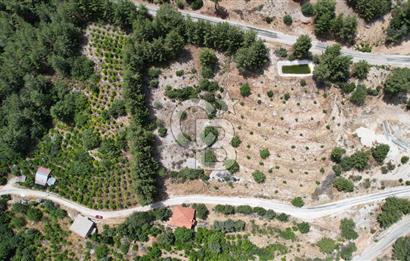 ANTALYA KAŞ SATILIK 3 AYRI MÜSTAKİL TAPU - EV, BAĞ VE TARLA