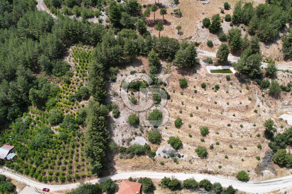 ANTALYA KAŞ SATILIK 3 AYRI MÜSTAKİL TAPU - EV, BAĞ VE TARLA