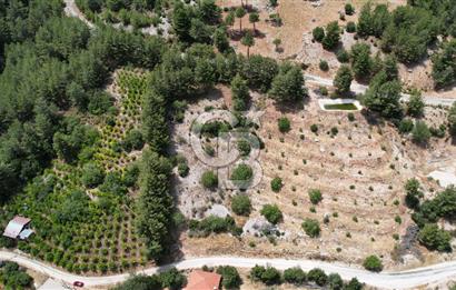 ANTALYA KAŞ SATILIK 3 AYRI MÜSTAKİL TAPU - EV, BAĞ VE TARLA