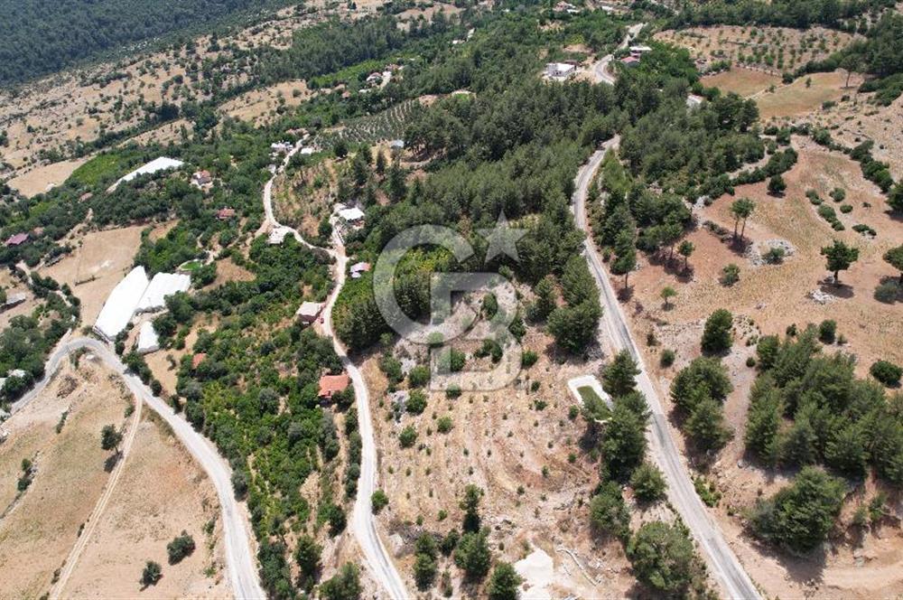 ANTALYA KAŞ SATILIK 3 AYRI MÜSTAKİL TAPU - EV, BAĞ VE TARLA