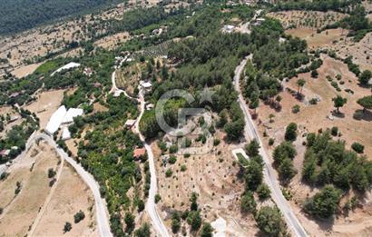 ANTALYA KAŞ SATILIK 3 AYRI MÜSTAKİL TAPU - EV, BAĞ VE TARLA