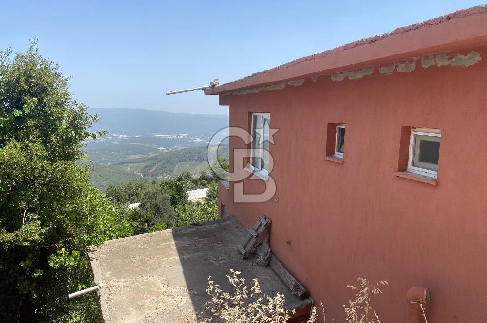 ANTALYA KAŞ SATILIK 3 AYRI MÜSTAKİL TAPU - EV, BAĞ VE TARLA